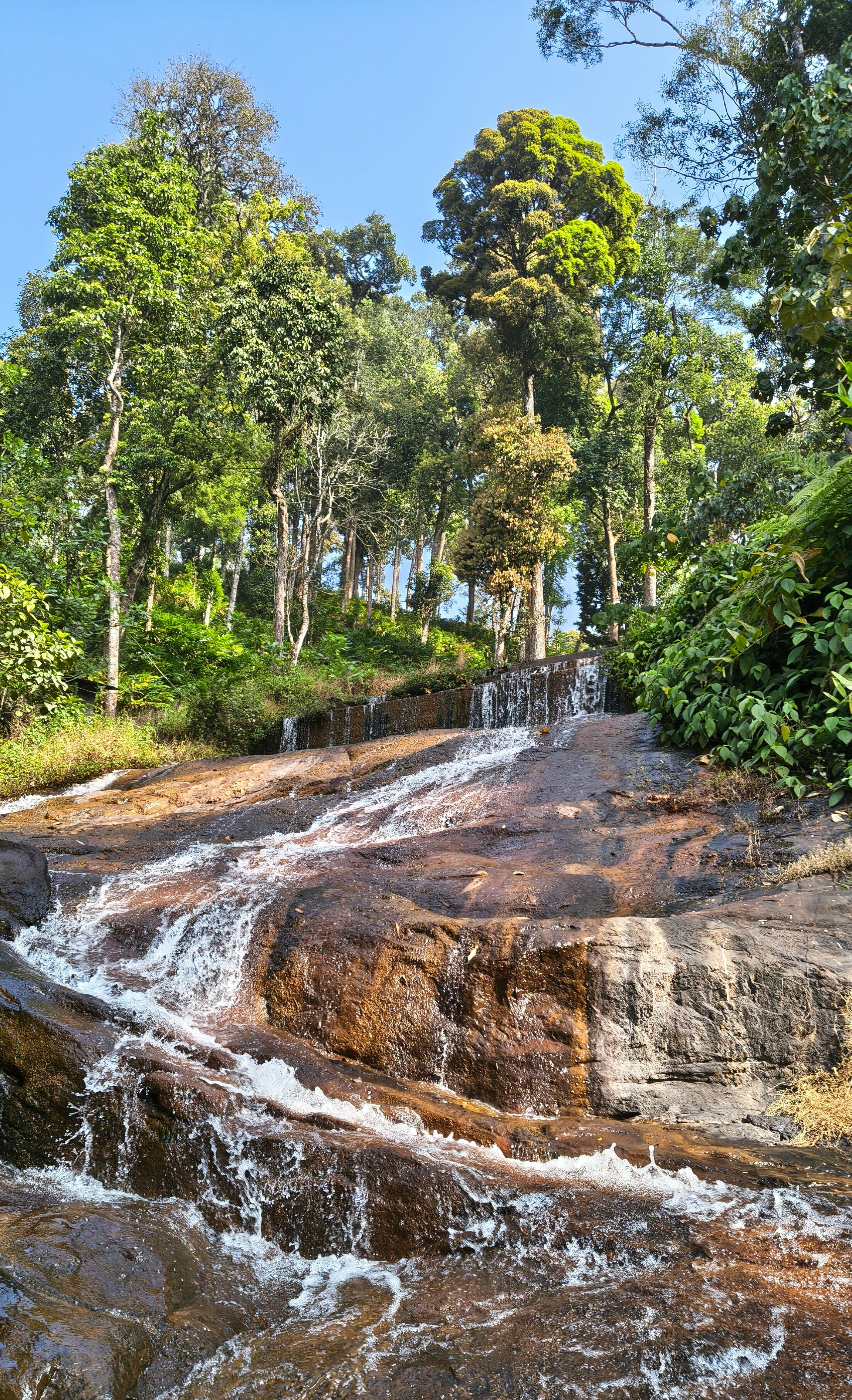 Munnar Waterfalls and Valley